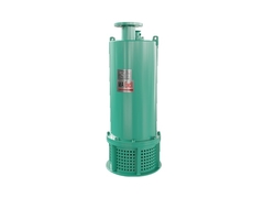 Explosion Proof Submersible Pumps