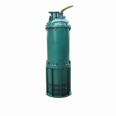Buy 1000m³/H 50m Head BQS Submersible Drainage Pump 250kw 180hp IPx8/LP68 Motor Protection Rating online manufacture